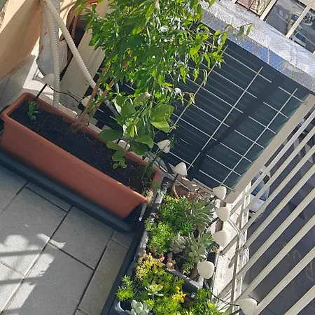 Tirona - Διαμέρισμα *